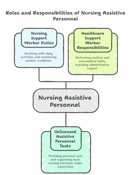 Nursing Assistive Personnel: Roles, Duties & Career Overview