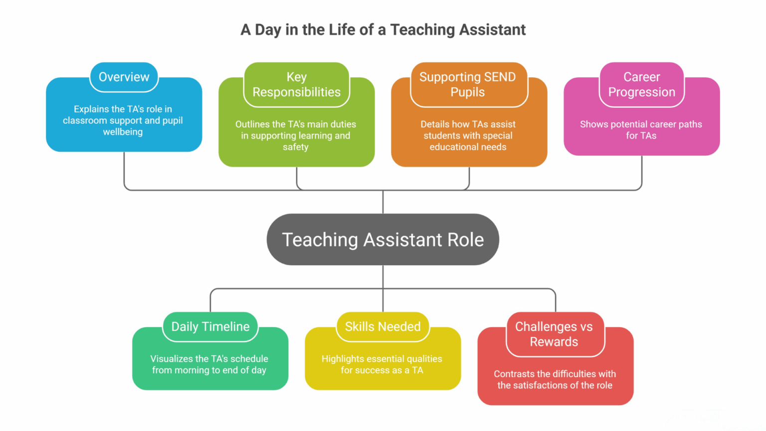 Teaching Assistant Job: Duties, Responsibilities & a Day in the Role