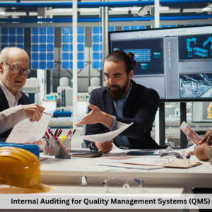 Internal Auditing for Quality Management Systems (QMS)