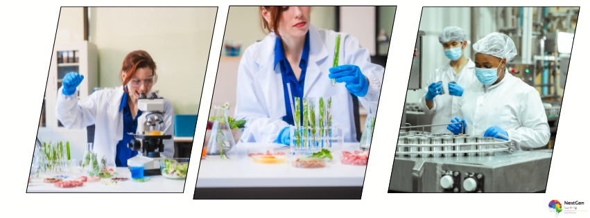 _Regulatory Standards in Food Safety & Hygiene (1)